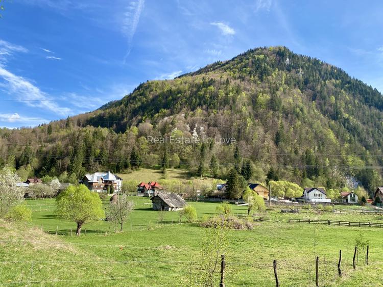 Teren panoramic insorit, utilitati, panta mica si padure, turism sau vacanta - 2