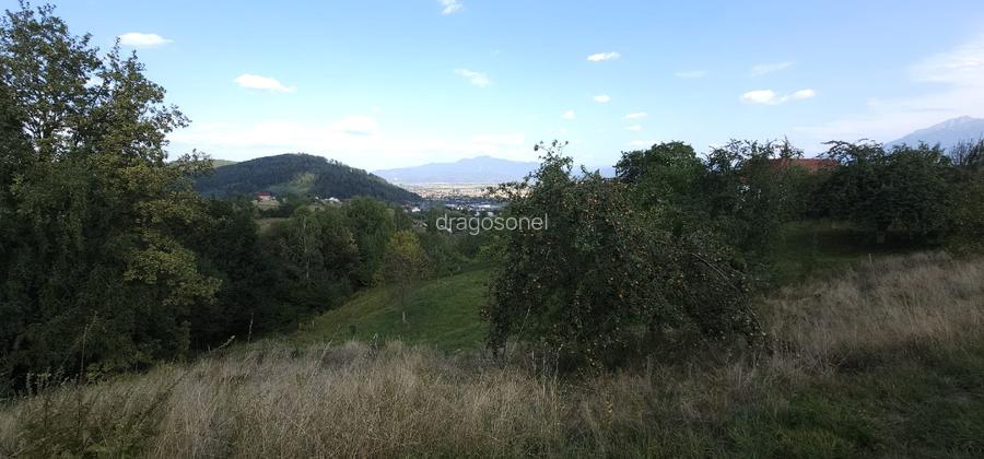 Teren pentru locuinta, casa de vacanta, pensiune, Zarnesti (zona Pleasa), PUZ, 2 - 5