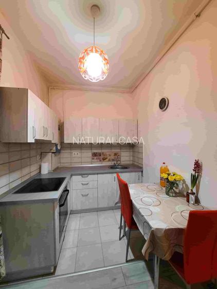 Garsoniera cu gradina proprie, Alma, Turnisor - 3