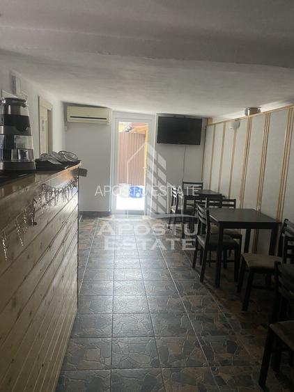 Casa unifamiliala în Timișoara,cu spațiul comercial - 21