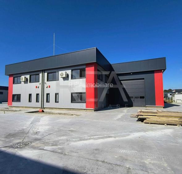 Hale noi de inchiriat Domnesti / Centura  - 3