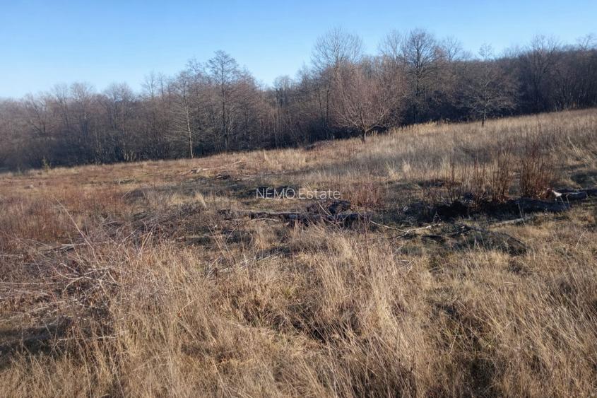 Teren extravilan | Vicovu de Jos | Preț 27.000 | Negociabil - 4