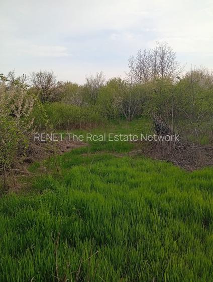 Teren intravilan mixt Buftea – Corbeanca MEGAOCAZIE | 2527 mp | Ideal investiție - 5