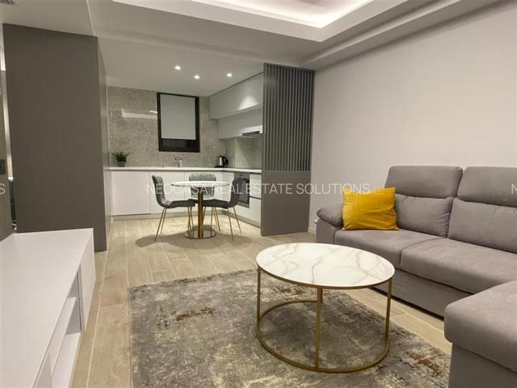 La cativa pasi de Herastrau | Prima Inchiriere, | 2 Camere | cu Terasa - 3