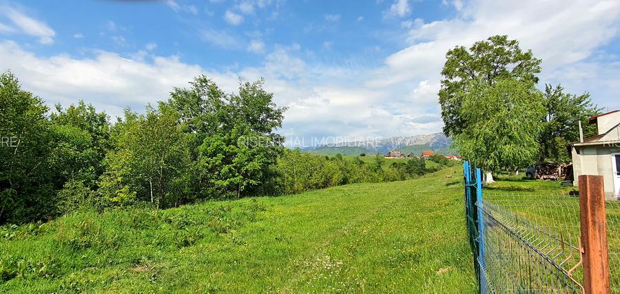 Teren pentru casa de vacanta , Pestera , Brasov - 10