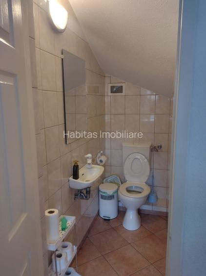 Casa de inchiriat, activitati diverse, zona Grigorescu - 19