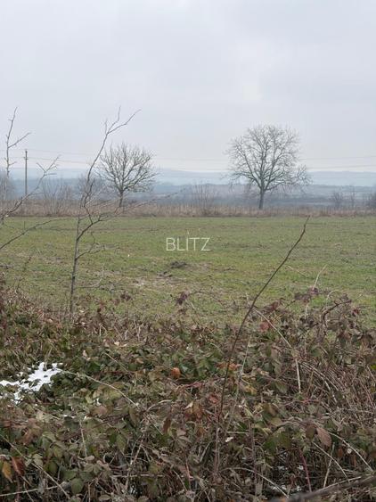 Teren de 9000mp, la intrarea in Filiasi ,la 300m de str. Racoteanu - 2