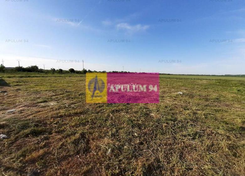 Teren construcție casă - 1 Decembrie - Zona Metropolitană București - 33