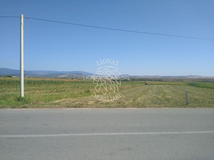 Teren 20000 mp (2 ha)-parcelabil-ideal cabane/agricultura/ferma-Jelna - 3