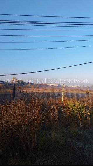 Inchiriez  teren 5000mp  Buc Măgurele, nr:236 stradal Sector 5 pentru 5000 EURO - 5