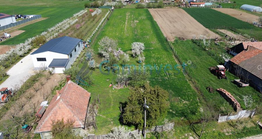 Teren intravilan pentru dezvoltare imobiliara, Les, Bihor 5064mp - 3