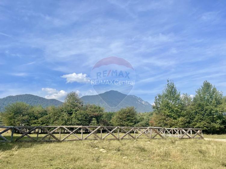 Teren intravilan 850mp Zarnești-Bran, natură-relaxare - 7