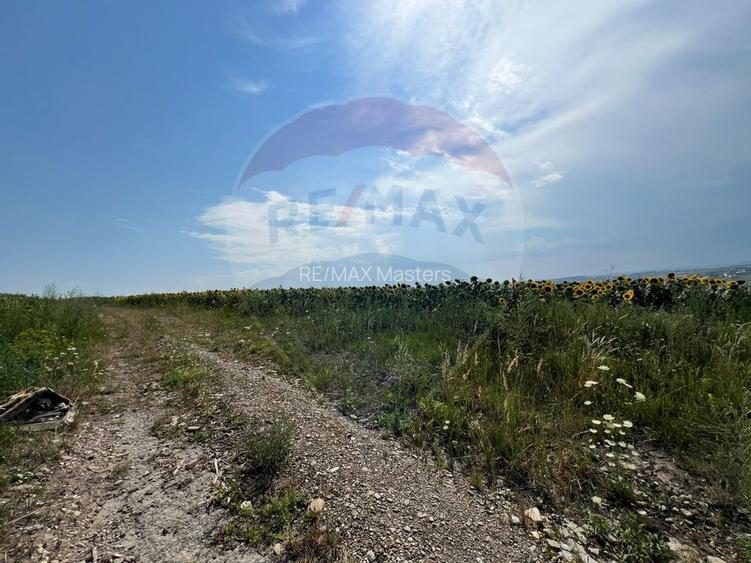 Teren 3,500mp Ilisesti / Strada Principala - 9