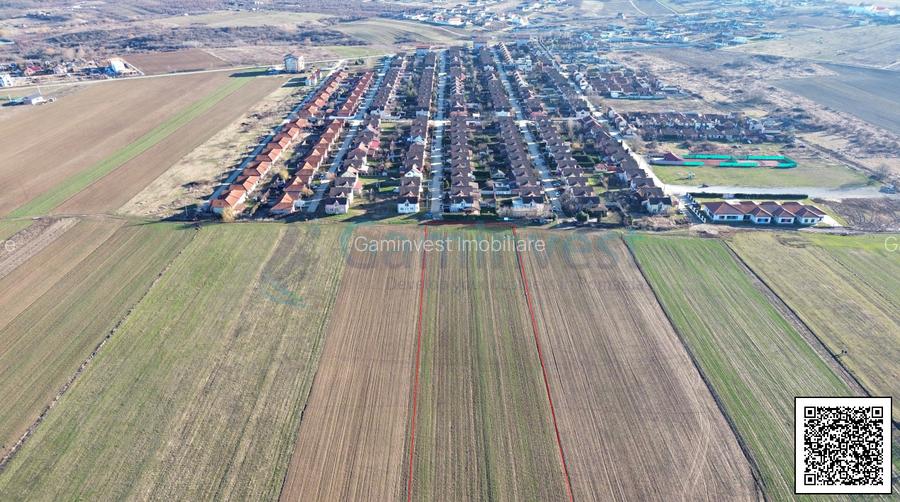 Teren 8632 mp pentru dezvoltare cartier rezidential de case noi, Orizont, Paleu - 2