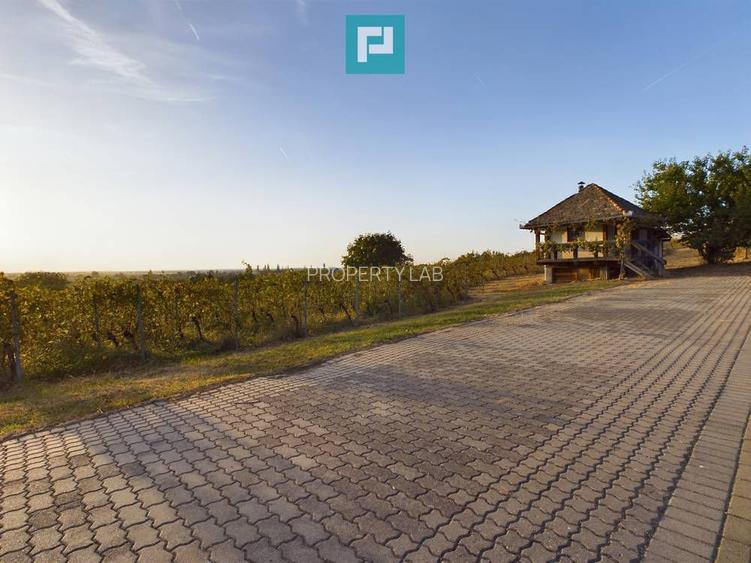 Pivnițele Birăuaș D.O.C Miniș - RATE FĂRĂ DOBÂNDĂ - 16