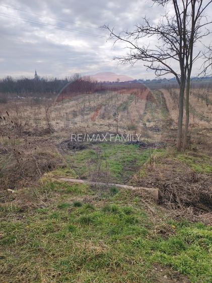 Teren 2.341 mp Uileacu de Munte front 26 ml la drum asfaltat - 7