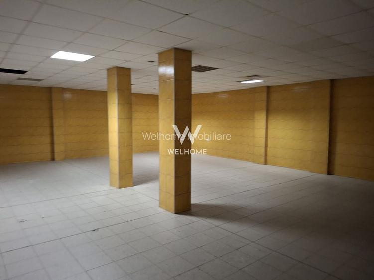 Spatii de inchiriat pentru productie/ industrial, Sibiu - 12