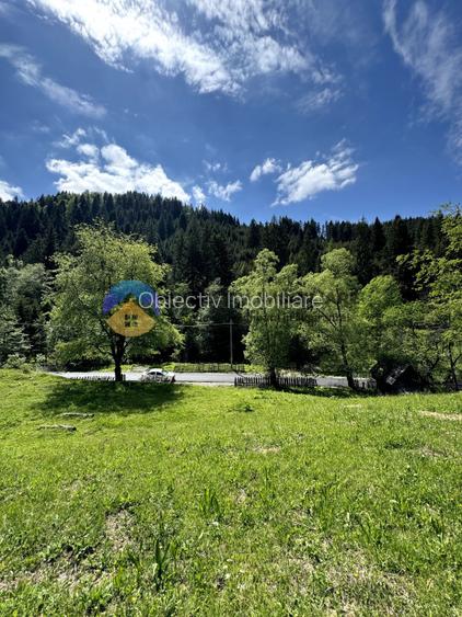 Teren 11557 mp comuna Ceahlau - 8