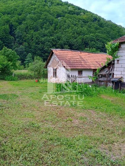 Casa batraneasca de vanzare, 4 camere, in Hunedoara, sat Micanesti - 34