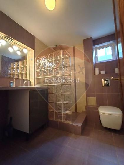 Închiriere casă individuală și teren 982 mp -Bragadiru-20 min Marriott - 25