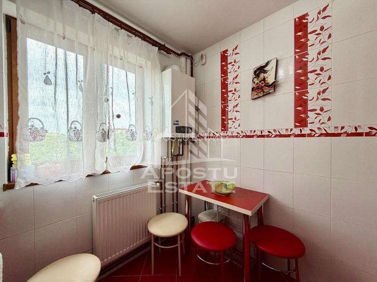 Apartament cu 2 camere de inchiriat, zona Gheorghe Lazar, Timisoara - 6