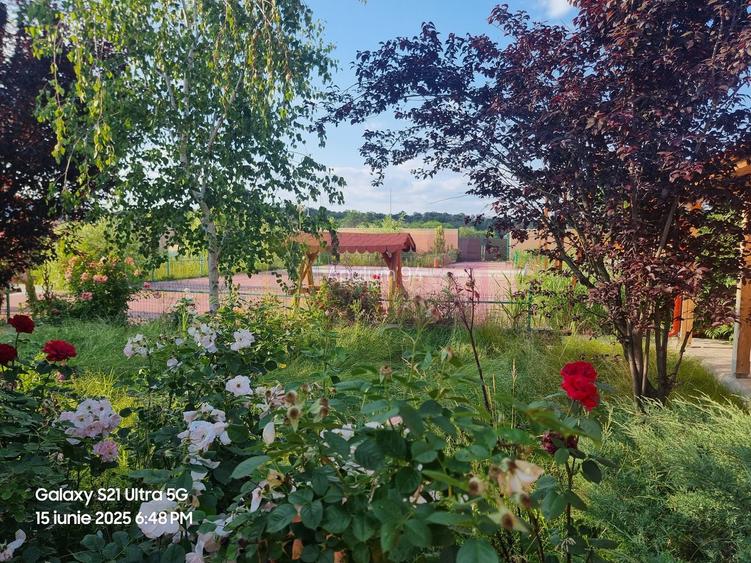 VANZARE CASA OASPETI + ANEXE IN  SAT TEISORI (JUD. GIURGIU) - 41