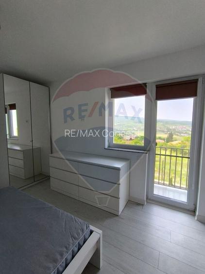 Casă 4 camere de inchiriat in Borhanci - 26