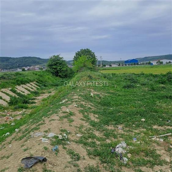 De vanzare teren Stefanesti zona Sticlelor, intravilan, 4200 mp - 3