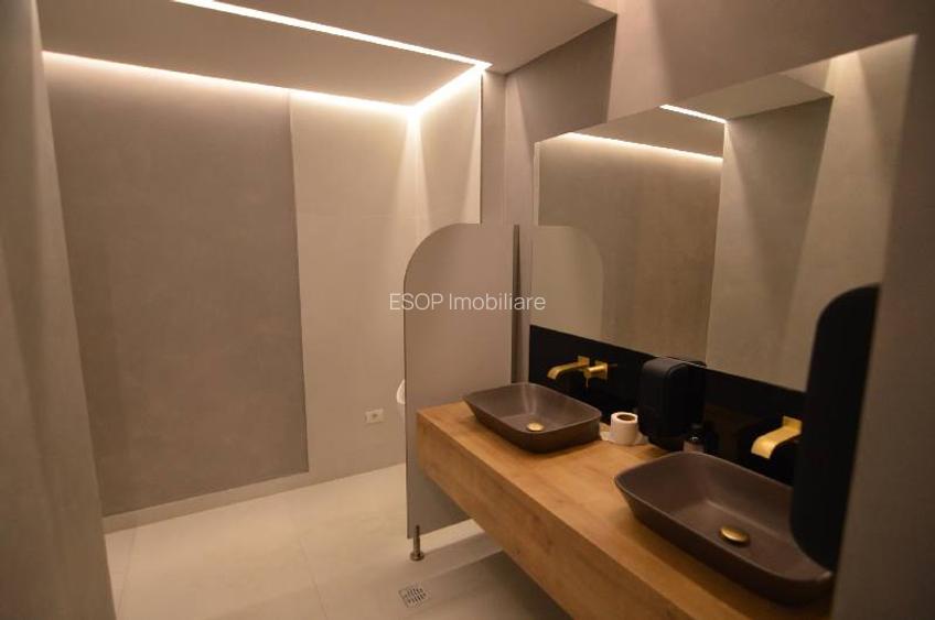 0% comision! Inchiriere birouri Dacia, 250 mp - 14