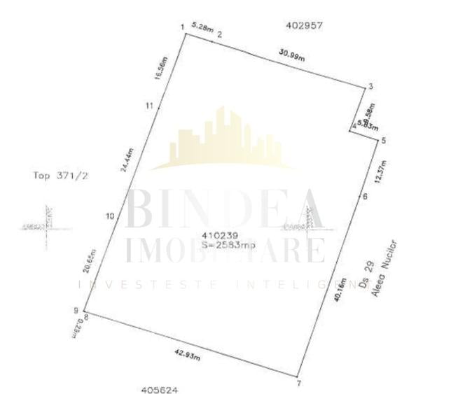 Teren intravilan CENTRAL Buzias, 2583mp - 6
