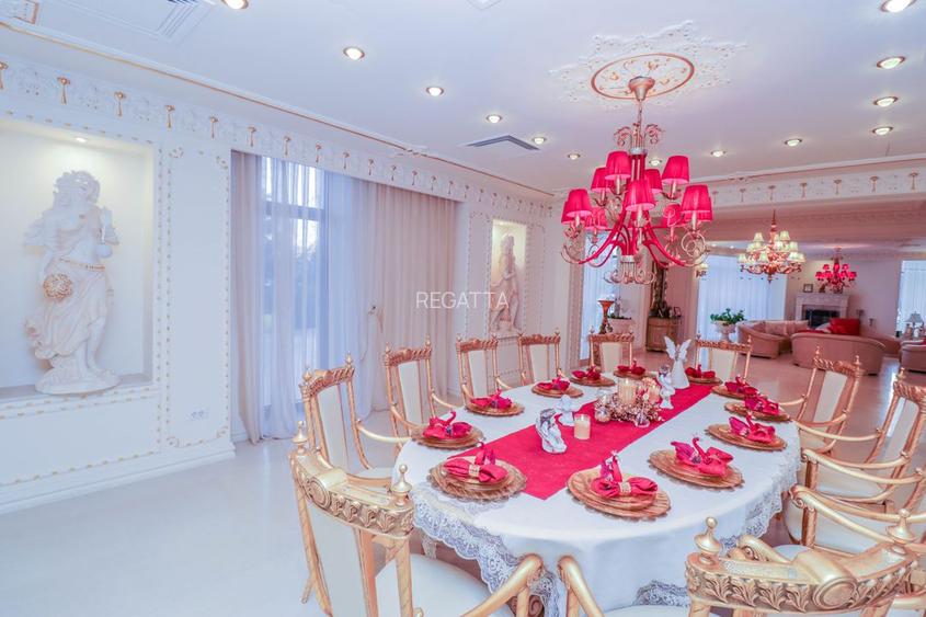 Vila de vanzare 11 camere zona Tei 1450 mp - 18