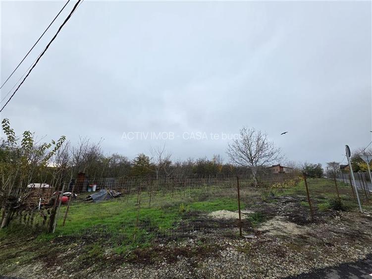 Teren Branesti - Str Oltului - 1600 mp - deschidere 16 ml - 4