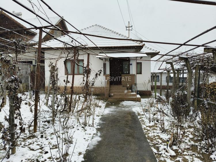 Proprietate rară – 2 case + livadă, vie și teren generos, la 20 km de Târgu Jiu - 4