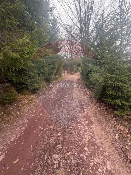 Oază de liniște în inima Apusenilor – teren 6.500 mp Arieșeni - 16