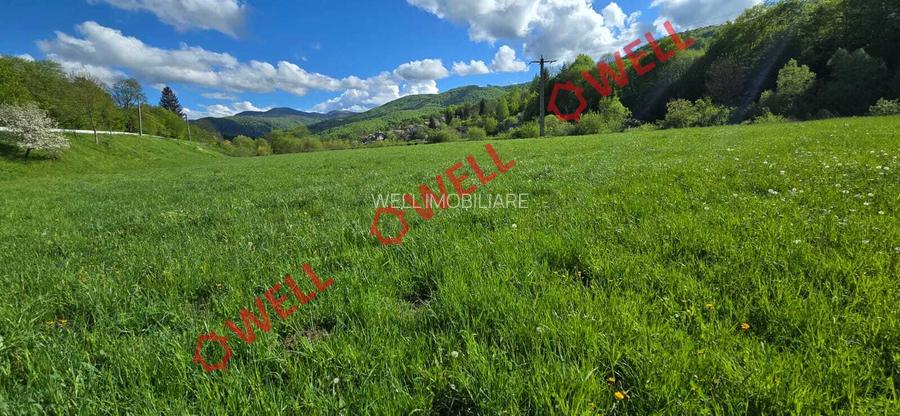 Teren extravilan de vânzare în Sita Buzăului – Zăbrătău! - 5