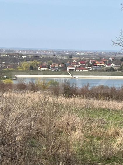 Teren intravilan de vanzare, 9783 mp, Paleu zona Iacului - 4