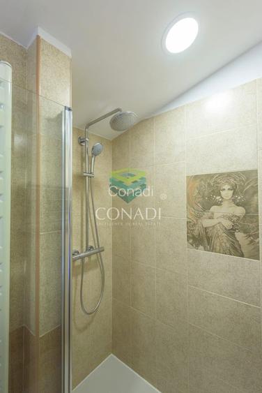 Apartament cu 2 camere // Aviatorilor - 10