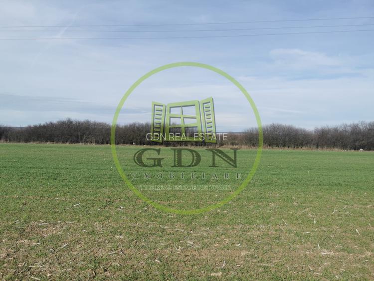 Teren extravilan de vanzare in Sacadat, 21.496 mp, cu deschidere de 42 m la E60. - 4