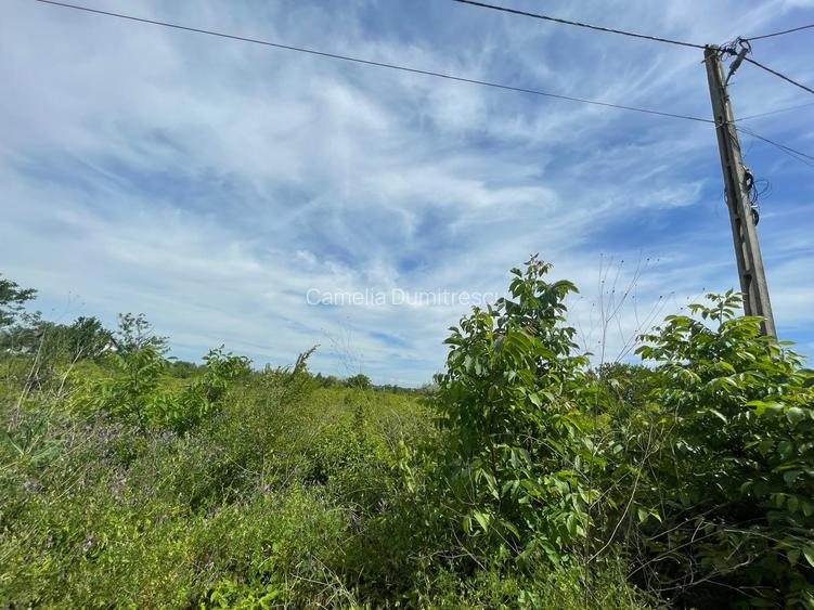 SNAGOV PLAZA - TEREN IDEAL DEZVOLTARE IMOBILIARA! - 6