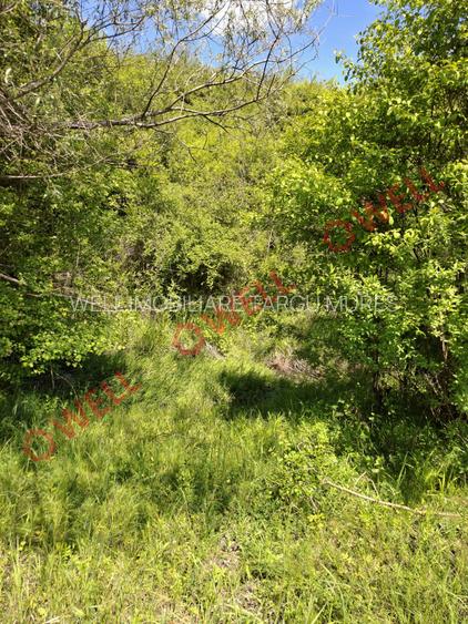 De vânzare teren intravilan de 30 000 m² (3 ha) în Reghin - 4