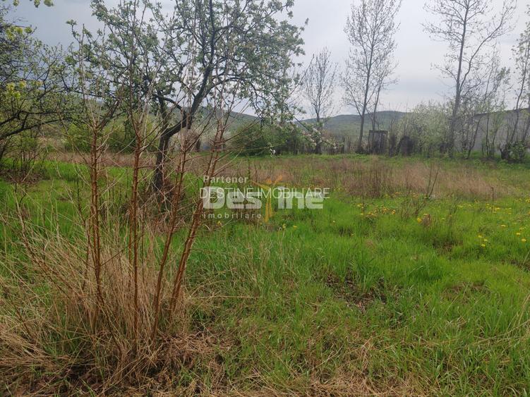 Teren intravilan in suprafata de 3160 mp, Puscasi, Poiana lui Alexa - 3