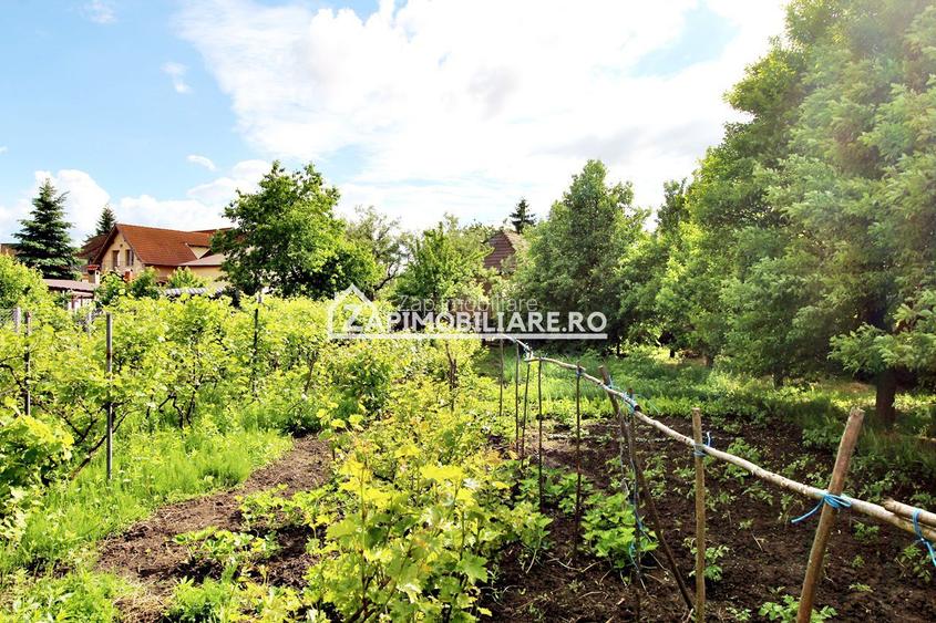 Unirii - Teren intravilan 4800 mp - la sosea - 4