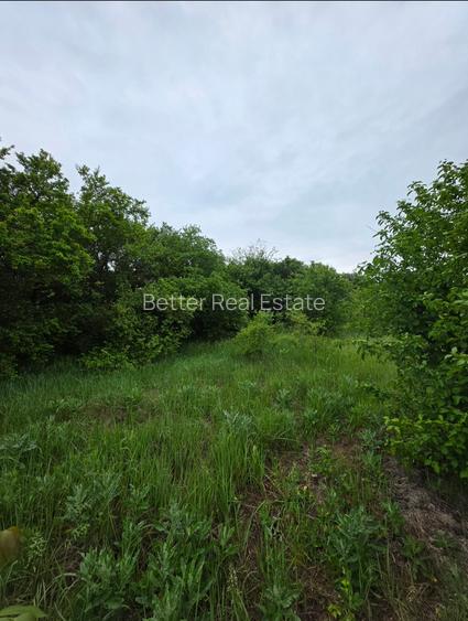 Teren Exclusivist cu deschidere la Lacul Snagov - 9