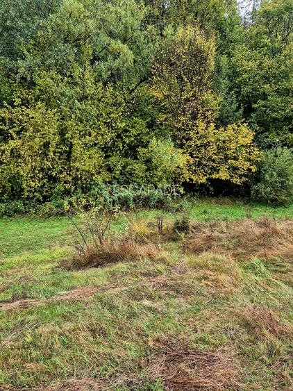 Comision 0%, teren extravilan 12497 mp Sinca Noua - 33