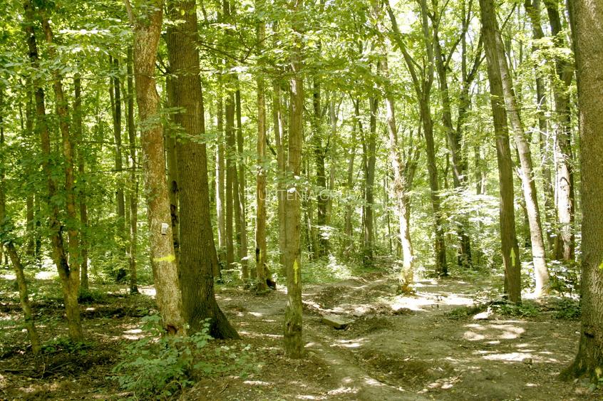 Oportunitate investitie exceptionala ! Pipera 352.400 mp. partial in intravilan - 5