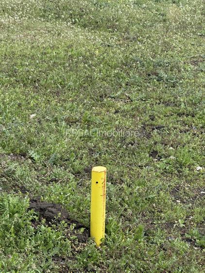 Teren Frumusani Gaz- Curent 400 mp |  D.N. 4 - 6