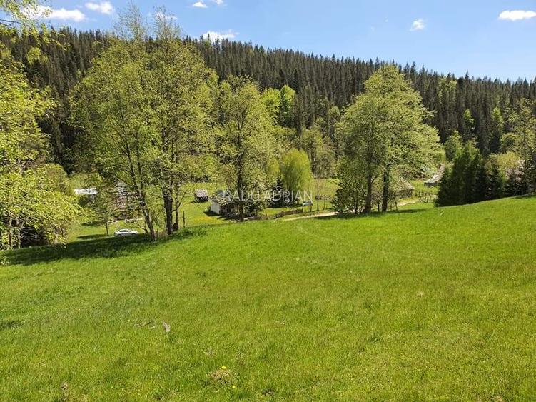 Vand teren 7800mp din care 3000 intravilan si 3800 mp padure  - 2