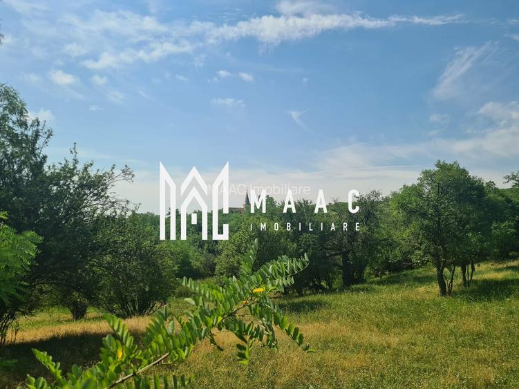 Teren | 12.922 MP | Loamneș - 3