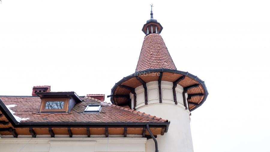 Domeniu fabulos zona Varatec - 6