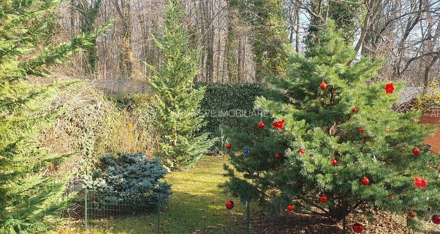 Sect 1, Bucuresti-Vila langa padurea Baneasa, zona Liceul Francez/COMISION 0 - 7